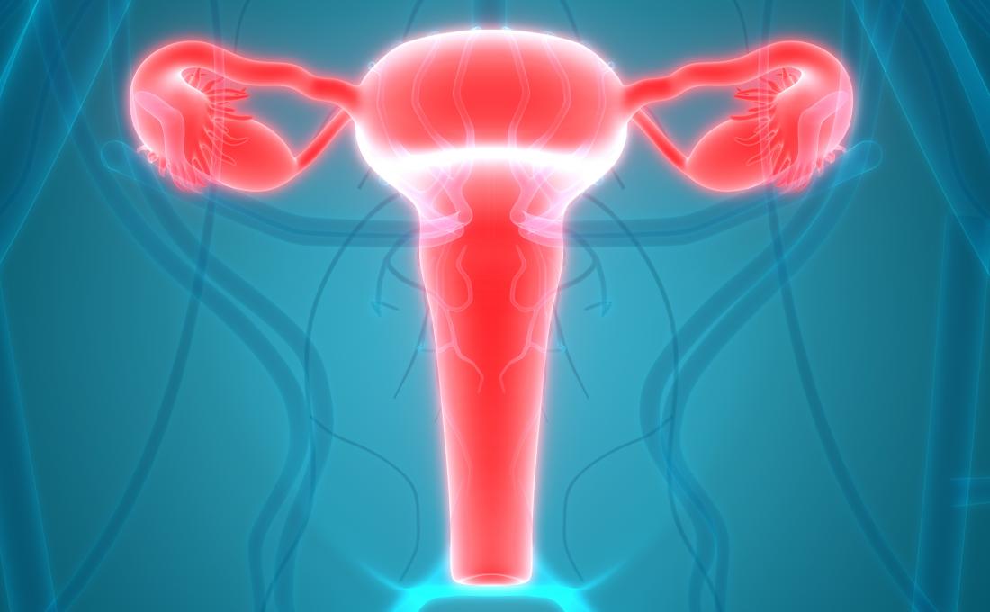 Your Cervix: What you need to know
